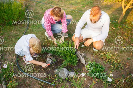 Happy family during plant care in a garden outdoors....