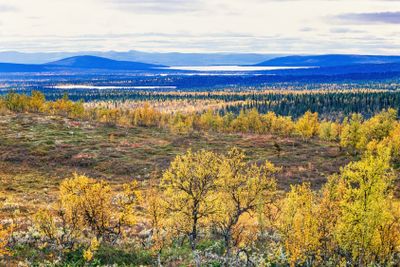 Landscape view in the north of Scandinavia in autumn
