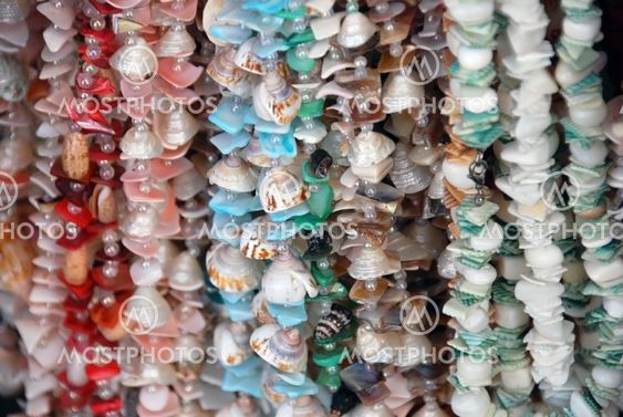 Multicolored Shell Necklaces