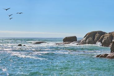 Rocks, birds and blue sky at sea outdoor on holiday,...