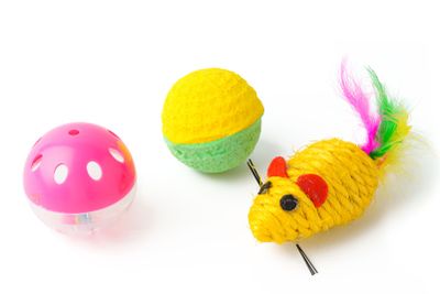 Cat toys isolated on white background studio shot