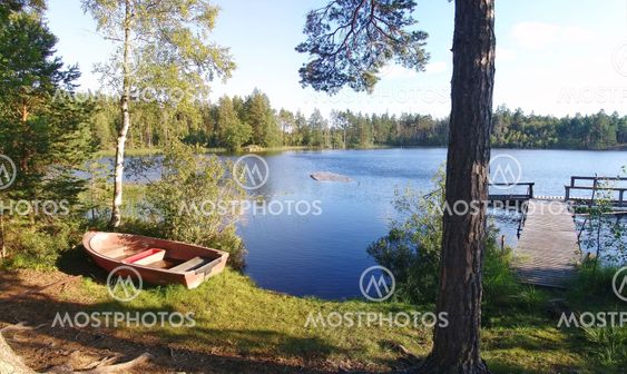 Lake in the forest