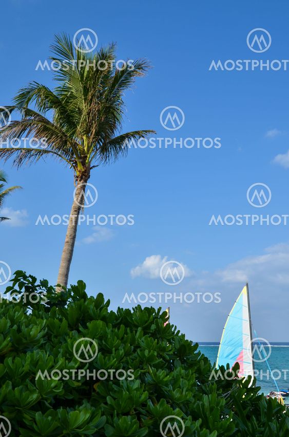 Tropical coast view
