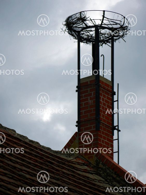 Stork nest in the fall
