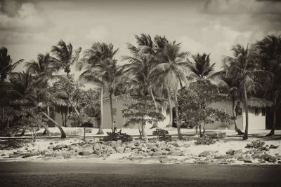 Small and Coloured Homes on the Coast of Santo Domingo