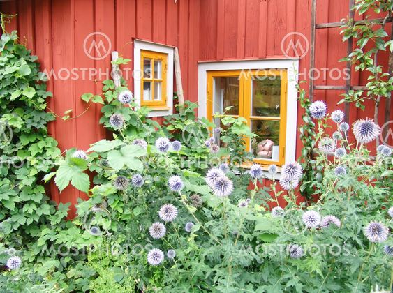old swedish house