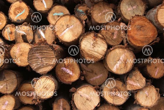 A pile of wood.