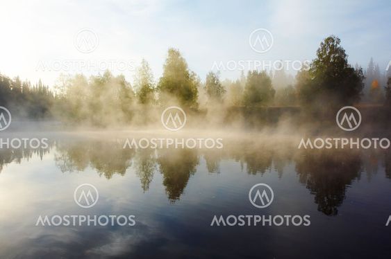 Morning mist