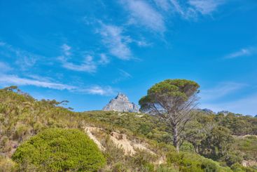 Forest, landscape and mountain with blue sky in nature...