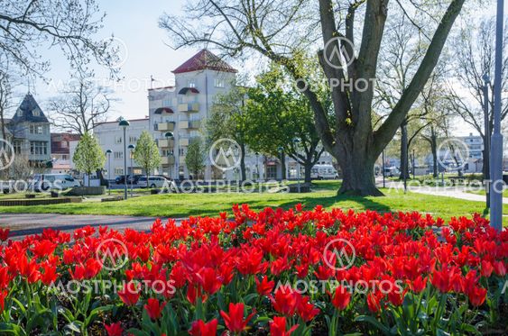 Vår i Societetsparken i Borgholm