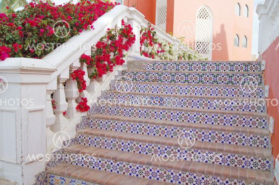 Stairs and bougainvillea
