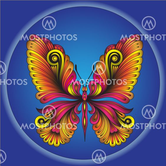 fantastic butterfly on blue background