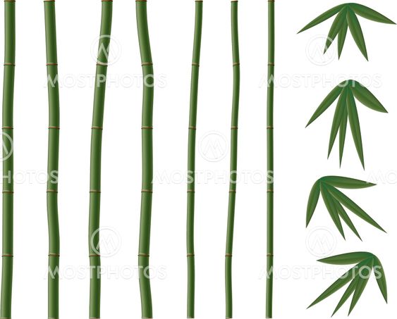 A bamboo elements.