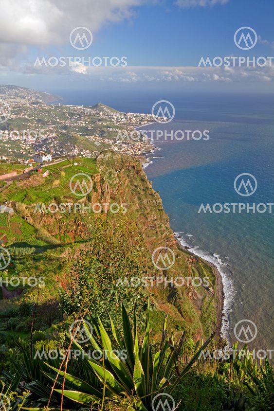 Madeira coastline.