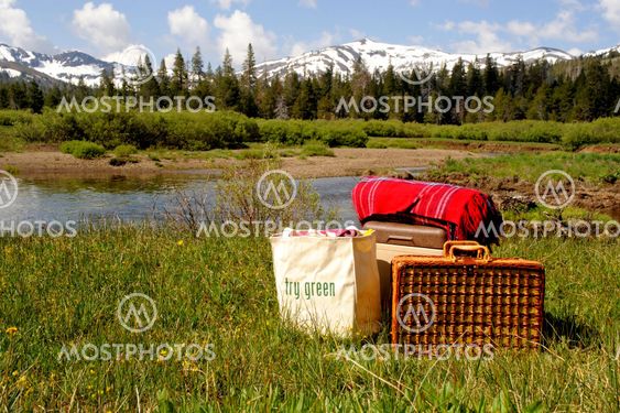 Meadow Picnic