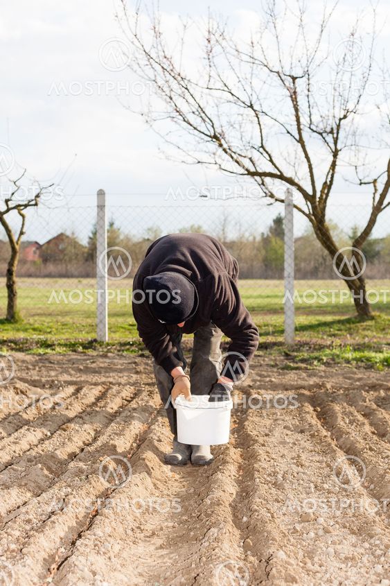 A woman plants a garden