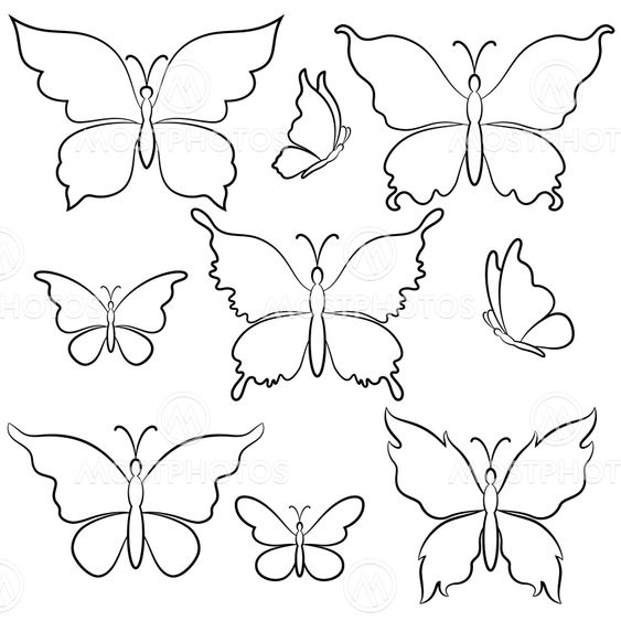 Butterflies Contours