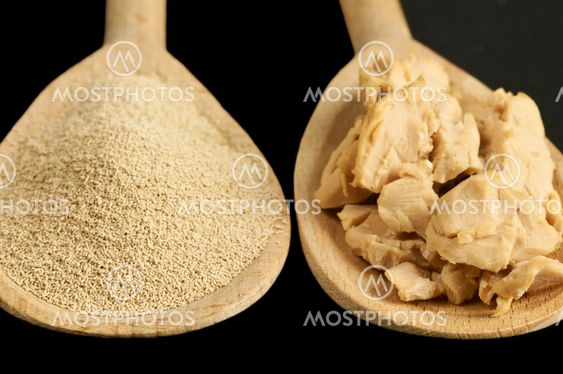 baking ingredient yeast powder and fresh yeast