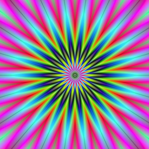 Star Flower