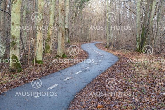 Winding cycle lane