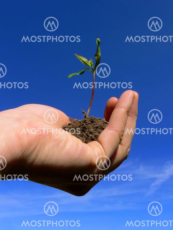 Handling Growth