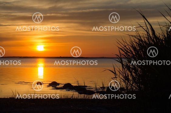 Summer sunset by a calm coast