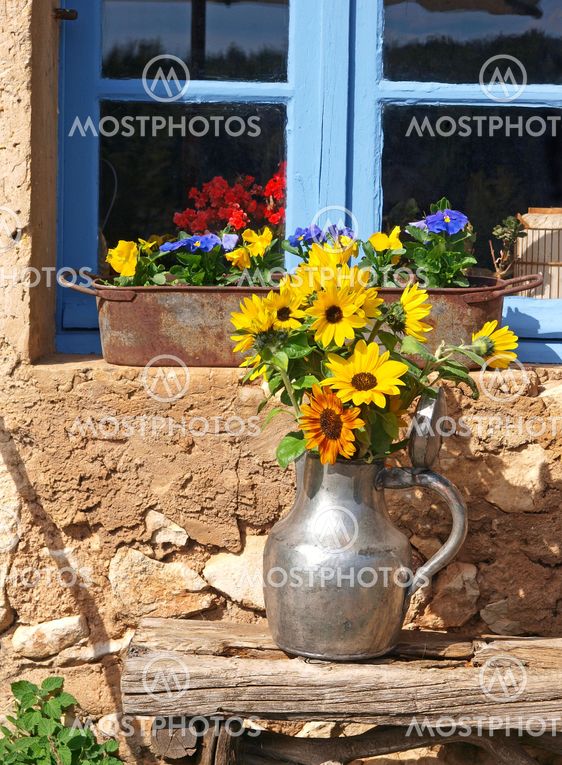 Sunflowers in Provence