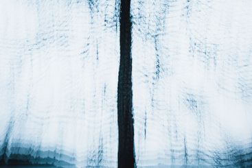 Abstract tree in moody forest