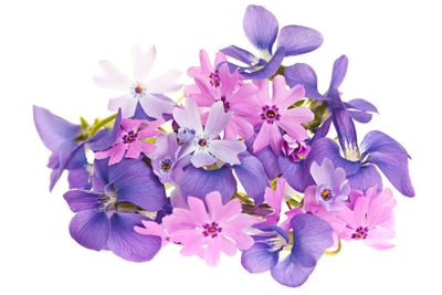 Bouquet of spring flowers
