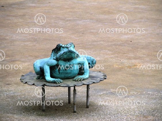 frustrated frog