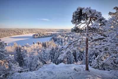 Lake view in the winter