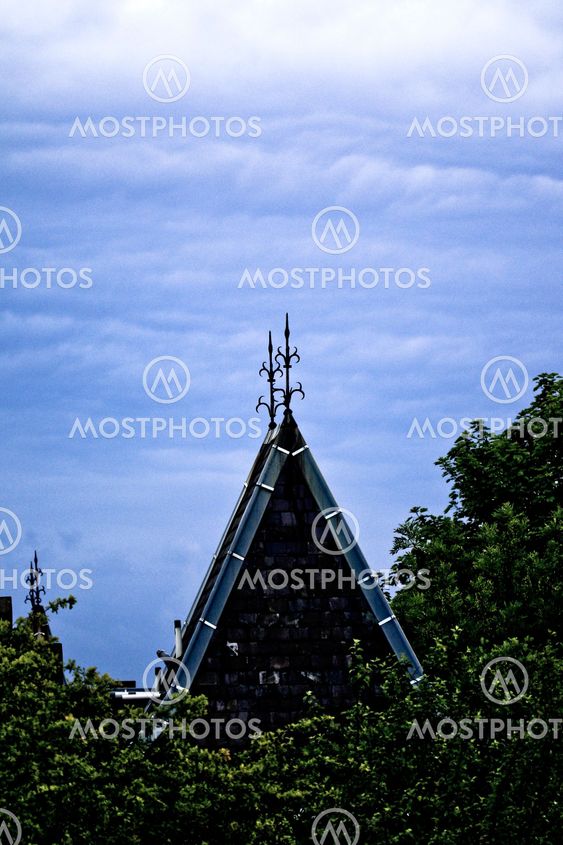 Up on the roof