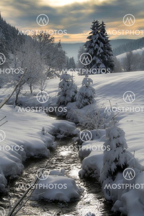 Winter