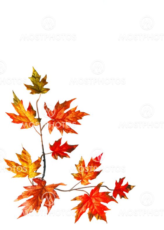 Autumn frame
