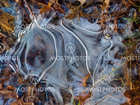 Ice abstract in winter