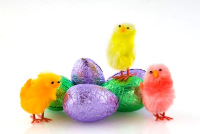 Easter eggs and chickens