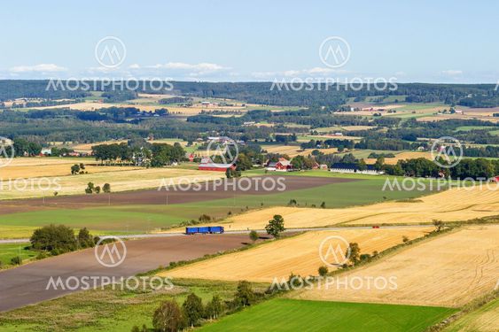 Landscape with field and road with traffic