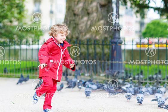 Cute little boy catching and playing with pigeons in city