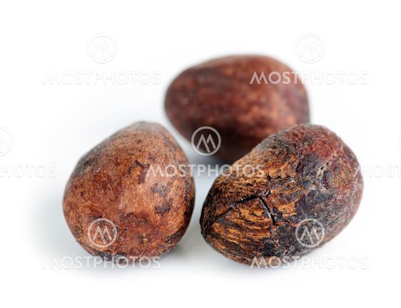 Shea nuts