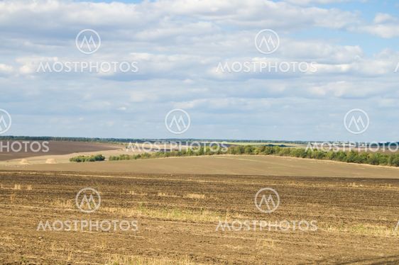 land view
