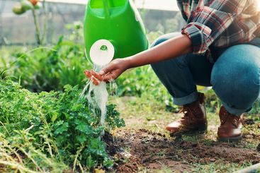 Agriculture, hands and watering can with farming person...