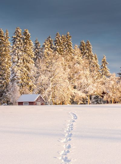 Winter in Rödön, Jämtland Sweden Scandinavia