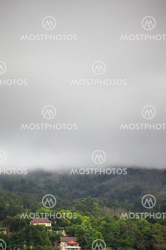 Nojalla Rain Forest