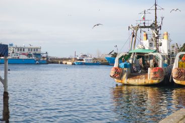 Sunset panorama of the port of Sozopol, Bulgaria