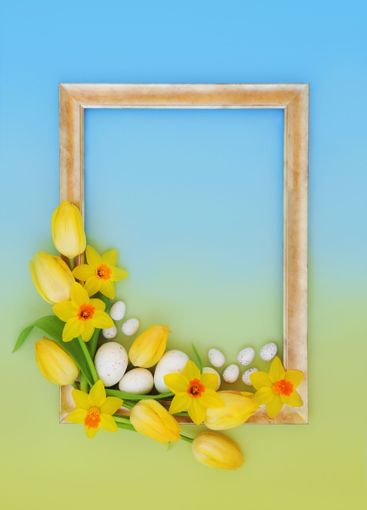 Easter Eggs and Spring Flowers Holiday Season Background