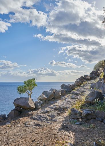 Mountain, path and plants by ocean, sky and terrain with...