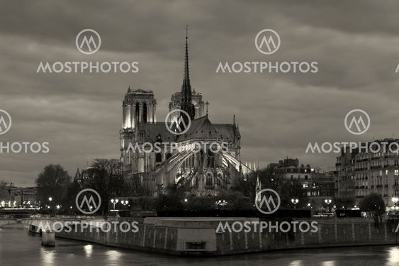 Notre dame Cathedral, Paris, Ile de France, France
