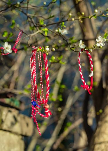 Bulgarian folklore tradition amulet Martenitsa on tree...