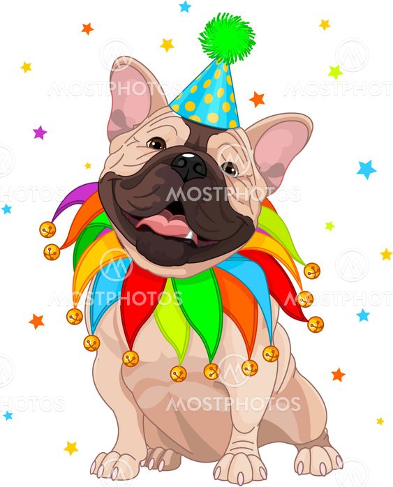Fransk bulldogg födelsedag