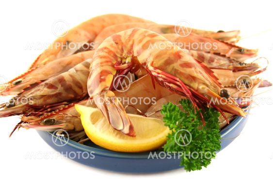 Fresh Green Tiger Prawns